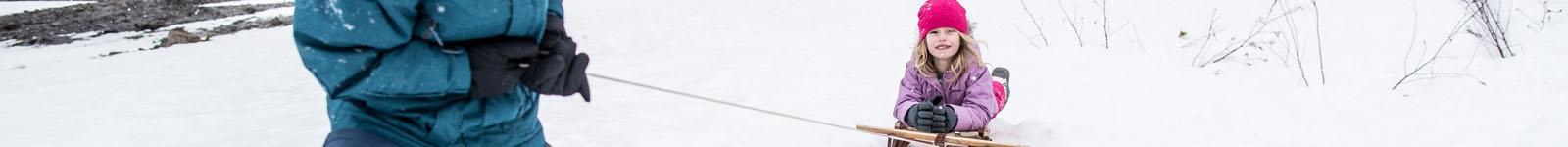 Snow Sleds and Toys 
