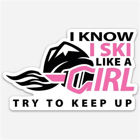 3" Try To Keep Up Sticker