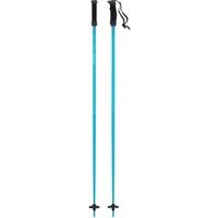 AMT SQS Ski Poles
