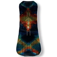 Apex Orca Snowboard