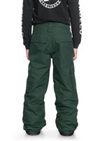 Boys Banshee Pant - DC Boys Banshee Pant - winterkids.mom                                                                                                                 