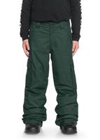 Boys Banshee Pant - DC Boys Banshee Pant - winterkids.mom                                                                                                                 