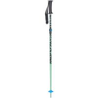 Boy's Sprout Ski Pole