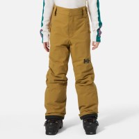 Youth Legendary Pant - Lynx
