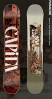 Women's Paradise Snowboard