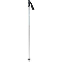 Swix Excalibur Ski Pole